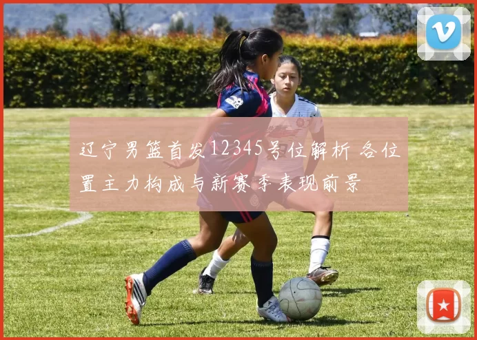 辽宁男篮首发12345号位解析 各位置主力构成与新赛季表现前景