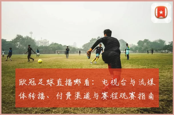 欧冠足球直播哪看：电视台与流媒体转播、付费渠道与赛程观赛指南