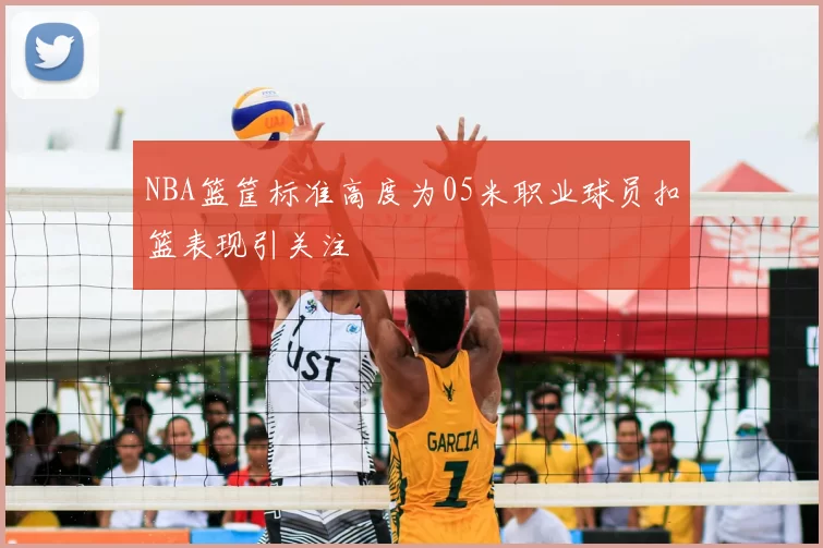 NBA篮筐标准高度为05米职业球员扣篮表现引关注
