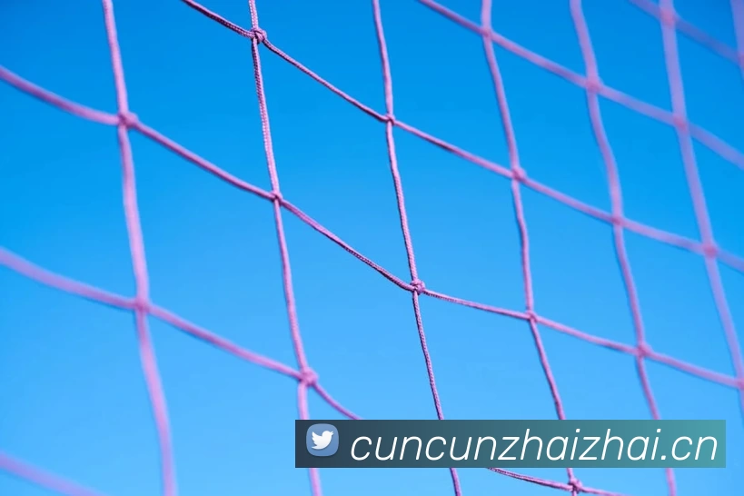 J9·九游会(中国)游戏第一品牌官方网站服务体系